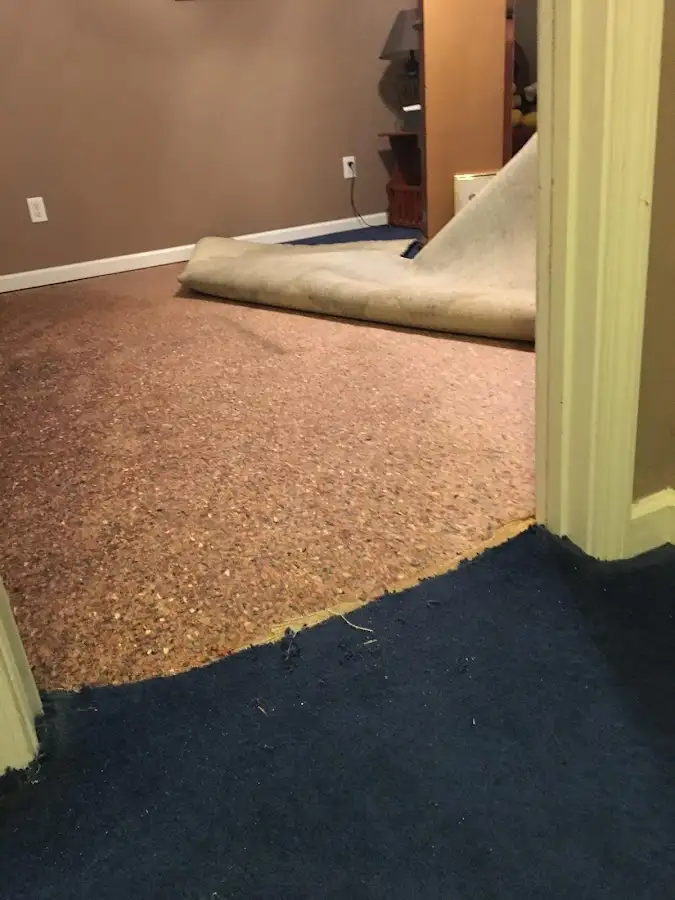 Carpet pad removal revealing water damage during Drying & Dehumidification in Los Altos