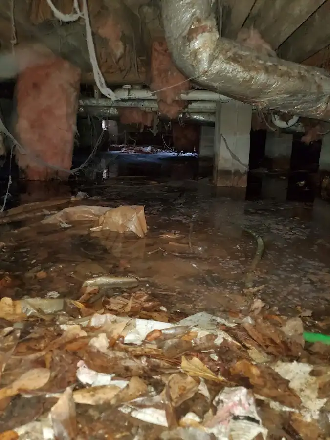 Crawl space flood assessment for Leak Detection & Repair in Los Altos